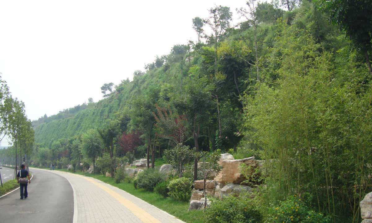 济南奥体中心边坡复绿工程